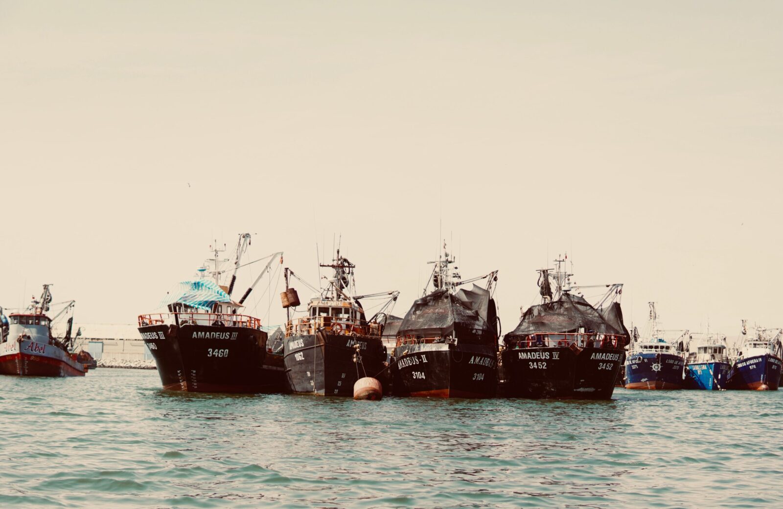 A tranquil harbor scene with commercial fishing trawlers moored along the coastline, under a clear sky.
