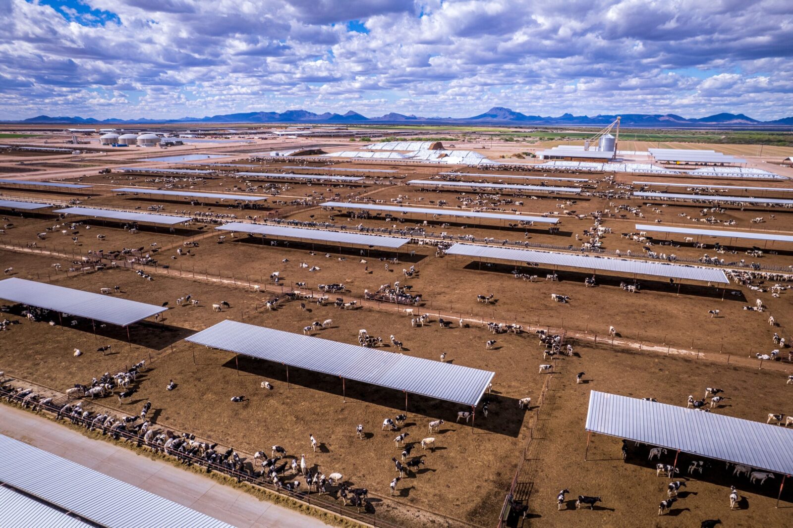Drone shot capturing a vast dairy farm under a clouded sky in Gila Bend, Arizona.